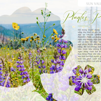 du-an-vallee-lamour-bao-loc-2