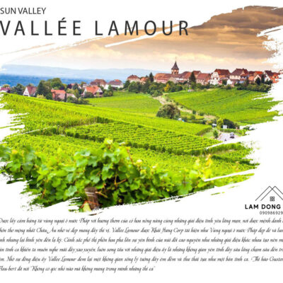 du-an-vallee-lamour-bao-loc-5