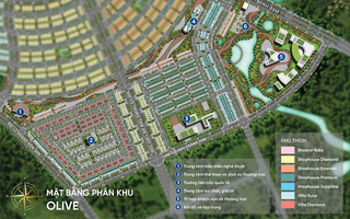 Meyhomes Capital Phú Quốc chính thức ra mắt Khu Olive