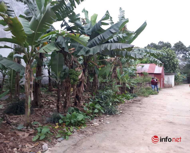 Cò đất lướt cọc tạo sóng - Ảnh 1. Cò đất lướt cọc tạo sóng - Ảnh 1.