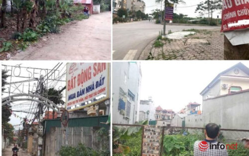 Cò đất 'lướt cọc' tạo sóng