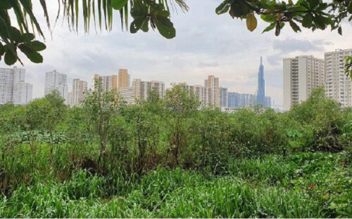 Đất nông thôn Thanh Hoá, Hà Tĩnh sôi động trở lại