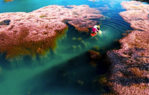 bất động sản Bảo Lộc