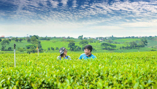 đất nền Bảo Lộc