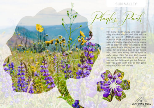 đất nền Bảo Lộc