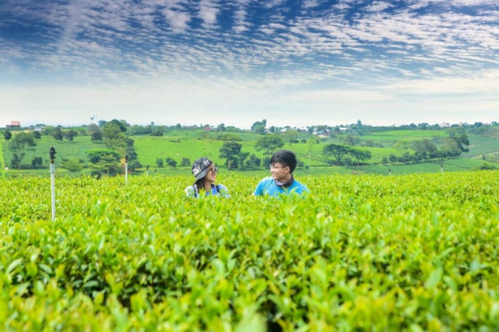 12 ĐỊA ĐIỂM DU LỊCH NỔI TIẾNG TẠI BẢO LỘC-BẤT ĐỘNG SẢN BẢO LỘC THU HÚT NHÀ ĐẦU TƯ NGHỈ DƯỠNG 3 12 ĐỊA ĐIỂM DU LỊCH NỔI TIẾNG TẠI BẢO LỘC-BẤT ĐỘNG SẢN BẢO LỘC THU HÚT NHÀ ĐẦU TƯ NGHỈ DƯỠNG