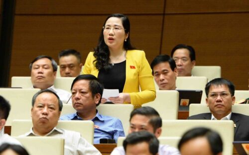 "Quân xanh, quân đỏ", "đánh võng", "quây thầu, vây thầu" trong đấu giá đất