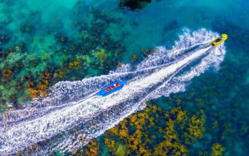 Apec Group đồng loạt trao sổ hồng, sổ đỏ dự án đến khách hàng