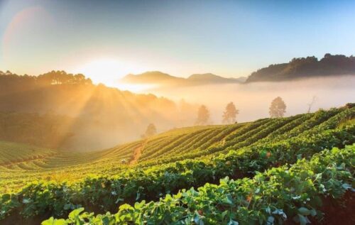 đất nền Bảo Lộc