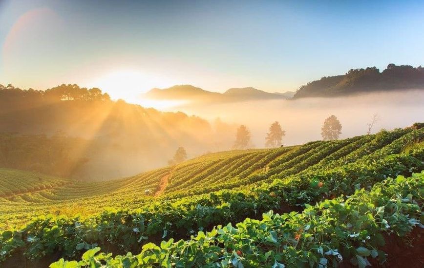 ĐẤT NỀN BẢO LỘC: 3 YẾU TỐ QUAN TRỌNG KHI MUA "SECOND HOME" 6 ĐẤT NỀN BẢO LỘC: 3 YẾU TỐ QUAN TRỌNG KHI MUA "SECOND HOME"