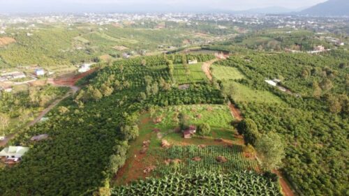 đất nền Bảo Lộc