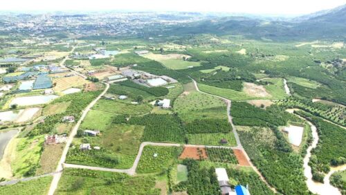 bất động sản Bảo Lộc