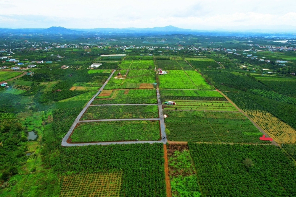 ĐẤT NỀN BẢO LỘC: LÝ DO CẦN PHẢI HIỂU RÕ TRANH CHẤP ĐẤT ĐAI