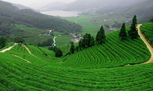 NHỮNG "ÔNG LỚN" NÀO ĐANG NHẮM VÀO THỊ TRƯỜNG BẤT ĐỘNG SẢN BẢO LỘC 6 NHỮNG "ÔNG LỚN" NÀO ĐANG NHẮM VÀO THỊ TRƯỜNG BẤT ĐỘNG SẢN BẢO LỘC