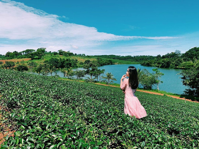 ĐẤT NỀN BẢO LỘC THU HÚT GIỚI ĐẦU TƯ 2 ĐẤT NỀN BẢO LỘC THU HÚT GIỚI ĐẦU TƯ