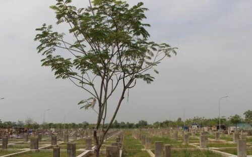 Sắp có Nghị định mới quản lý nhà đất công nhằm 'siết' tình trạng mỗi nơi quản một kiểu