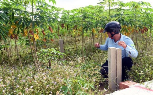 Quỹ đất 20%, chủ đầu tư không làm nhà ở xã hội mà xin nộp tiền