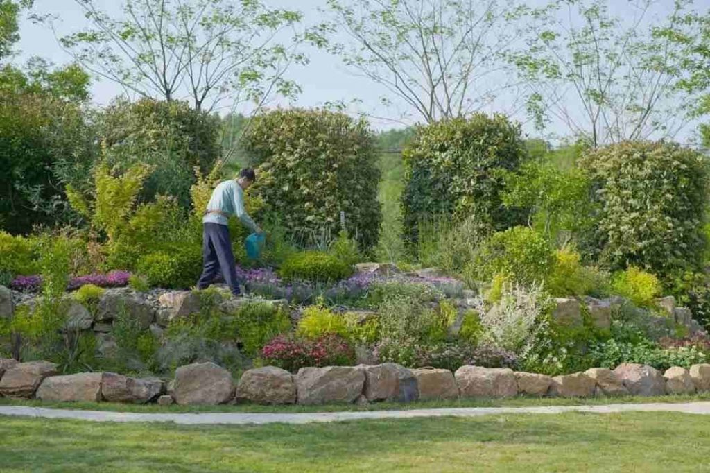 BẤT ĐỘNG SẢN BẢO LỘC: NHỮNG LƯU Ý KHI MUA ĐẤT LÀM VƯỜN 9 BẤT ĐỘNG SẢN BẢO LỘC: NHỮNG LƯU Ý KHI MUA ĐẤT LÀM VƯỜN