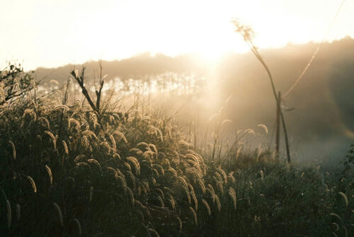 Khu nghỉ dưỡng KL03 - Chính chủ bán nhanh lô đất 234,5m², trung tâm Bảo Lâm 2