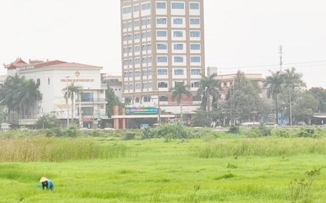 Nâng cấp quốc lộ 54 với kinh phí hơn 49 tỷ đồng