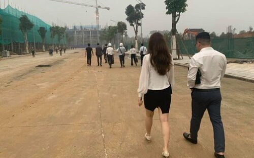 Bất động sản nông trại sinh thái hữu cơ: Thu hút nhà đầu tư