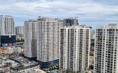 Sống xanh phong cách Hàn Quốc giữa lòng Quy Nhơn