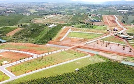 Đất nền Lâm Đồng từng “dậy sóng”, "sang tay" hàng chục nghìn lô nay giao dịch "ảm đạm"