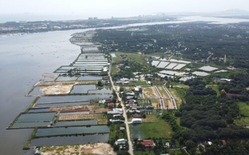 Khánh Hoà huỷ nhiều quyết định chuyển mục đích từ đất nông nghiệp sang đất ở để 'phân lô, bán nền'