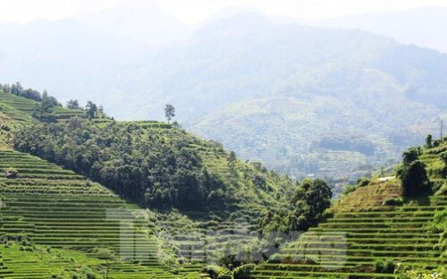 Các địa phương liên tục đấu giá đất với mức khởi điểm từ vài triệu đồng/m2