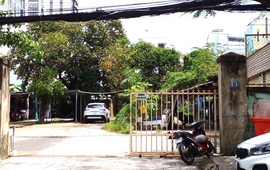 Đà Nẵng ra ‘tối hậu thư’ cho loạt đất vàng bỏ hoang