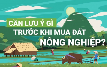 Bộ Xây dựng: Cân nhắc thận trọng quy định áp thời hạn sở hữu nhà chung cư