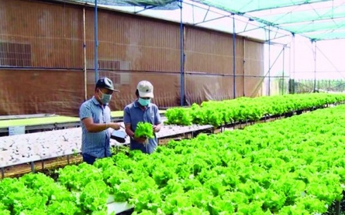 Sửa đổi Luật Đất đai: Chưa rõ tính pháp lý về sở hữu condotel, shop house