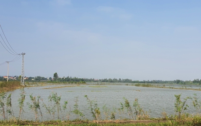 Hải Phòng: Không để tái diễn tình trạng “mòn mỏi” chờ đất tái định cư