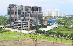 Mái che và mỹ quan đô thị 3 Mái che và mỹ quan đô thị