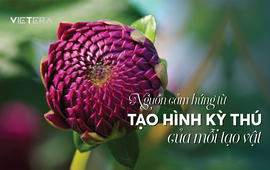 Hà Nội chào đón dự án mới dành cho khách hàng "sống trẻ" 1 Hà Nội chào đón dự án mới dành cho khách hàng "sống trẻ"