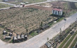Chủ tịch Hà Nội yêu cầu chấm dứt 14 dự án 'ma' tại huyện Mê Linh 1 Chủ tịch Hà Nội yêu cầu chấm dứt 14 dự án 'ma' tại huyện Mê Linh