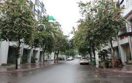Phân khúc bất động sản nào sẽ “hút” dòng tiền mạnh nhất trong thời gian tới? 2 Phân khúc bất động sản nào sẽ “hút” dòng tiền mạnh nhất trong thời gian tới?