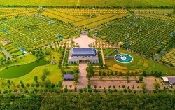 Hà An Group ký kết hợp tác chiến lược dự án Central Avenue Quy Nhon 7 Hà An Group ký kết hợp tác chiến lược dự án Central Avenue Quy Nhon