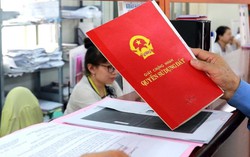 Công ty con của Novaland có nợ phải trả gấp gần 13 lần vốn chủ sở hữu