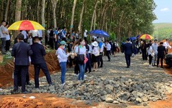 Dân không đồng ý, huyện có được thu hồi đất trồng lúa để làm cụm công nghiệp? 3 Dân không đồng ý, huyện có được thu hồi đất trồng lúa để làm cụm công nghiệp?