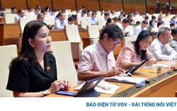 Lâm Đồng: Đề nghị thu hồi dự án của Công ty Trung Nguyên 6 Lâm Đồng: Đề nghị thu hồi dự án của Công ty Trung Nguyên
