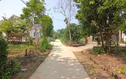 Doanh nghiệp bất động sản giải thể tăng hơn 30% sau 5 tháng 4 Doanh nghiệp bất động sản giải thể tăng hơn 30% sau 5 tháng