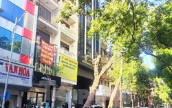 Quy hoạch hồ Tây làm điểm nhấn của đô thị dọc sông Hồng 5 Quy hoạch hồ Tây làm điểm nhấn của đô thị dọc sông Hồng