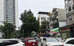 Gần 1.300 công ty bất động sản giải thể trong năm 2023