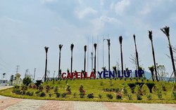 Chủ đầu tư được trả tiền thuê hàng năm sẽ giúp hạ giá nhà, đất?