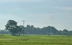 Nhiều đề xuất quan trọng triển khai dự án sân bay Long Thành