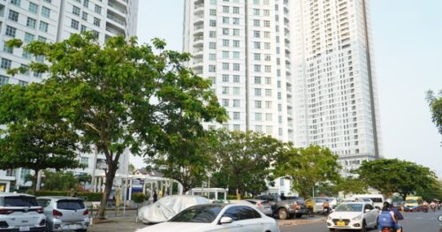 TP HCM: Cấp hơn 22.000 sổ hồng trong năm 2023