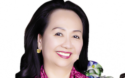 Trước khi Chủ tịch UBND tỉnh bị bắt, Lâm Đồng thực hiện kết luận thanh tra dự án Đại Ninh ra sao?