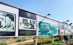 Vạn Thịnh Phát liên quan gì đến dự án khiến Chủ tịch tỉnh Lâm Đồng bị bắt?