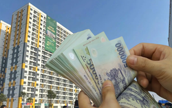 Thị trường BĐS TP HCM 'chào đón' hàng nghìn căn hộ mới trong 2024